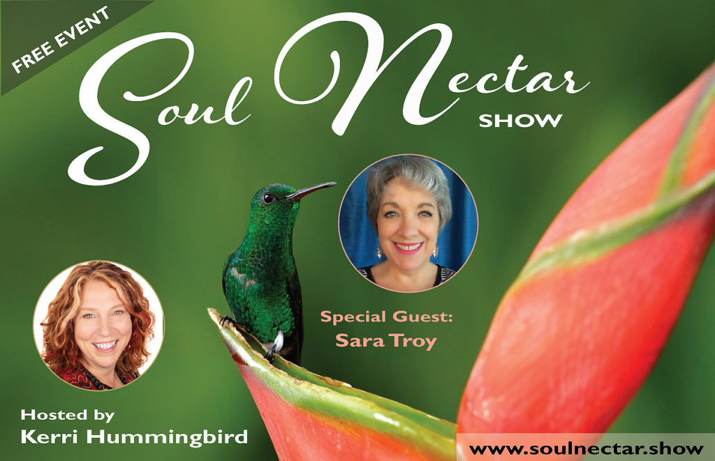 showvideointrographic-sara-troy